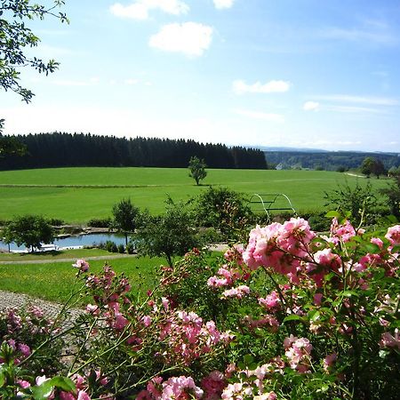 Gaestehaus Schloss Kronburg Buitenkant foto