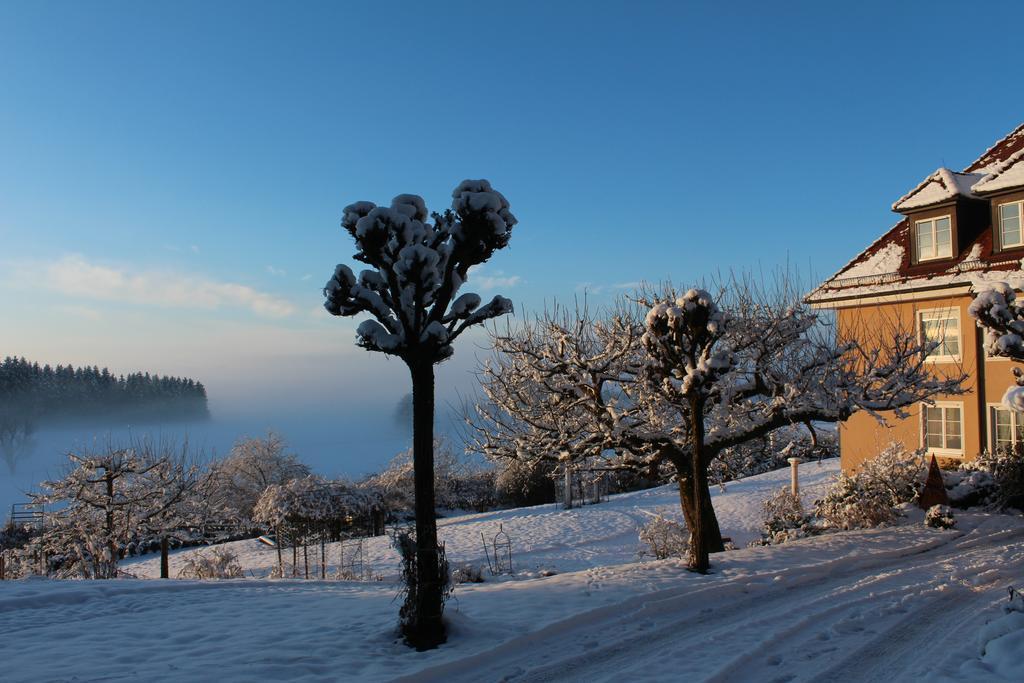 Gaestehaus Schloss Kronburg Buitenkant foto